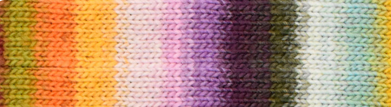 Noro Kureyon