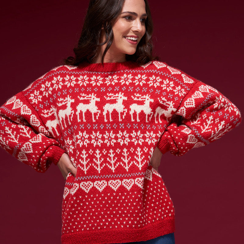 WYS ColourLab DK Festive Family Pattern Book - valleywools