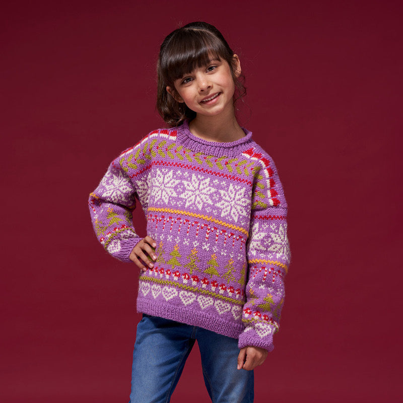 WYS ColourLab DK Festive Family Pattern Book - valleywools