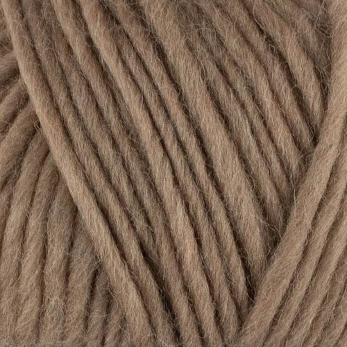 WYS Re:Treat Chunky Roving - valleywools