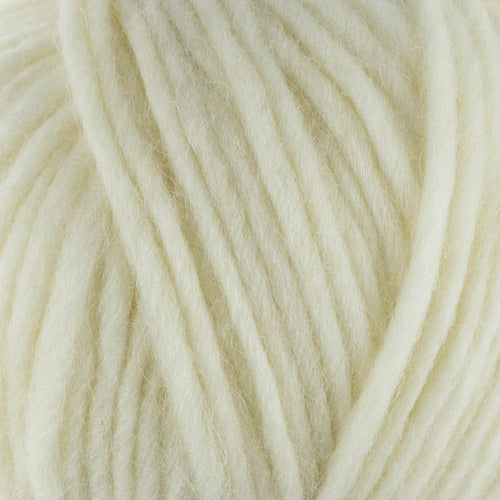 WYS Re:Treat Chunky Roving - valleywools
