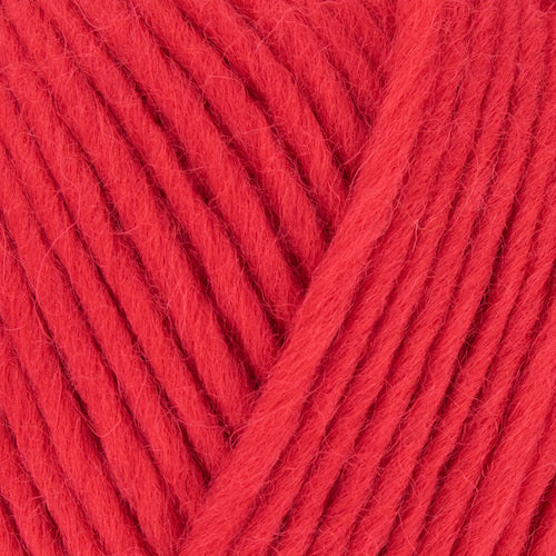 WYS Re:Treat Chunky Roving - valleywools