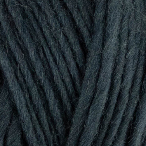 WYS Re:Treat Chunky Roving - valleywools