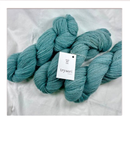 Nellie and Eve Trysori Treasure 4ply