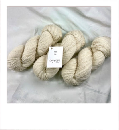 Nellie and Eve Trysori Treasure 4ply