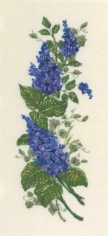 DMC Buddleia (BK247) - valleywools