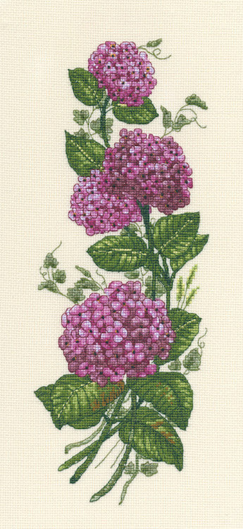 DMC Hydrangea (BK248) - valleywools