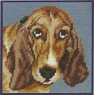 DMC Tapestry Kit - Basset (C884K) - valleywools