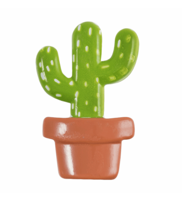 ABC Loose Buttons Cacti in Pot 22mm - valleywools