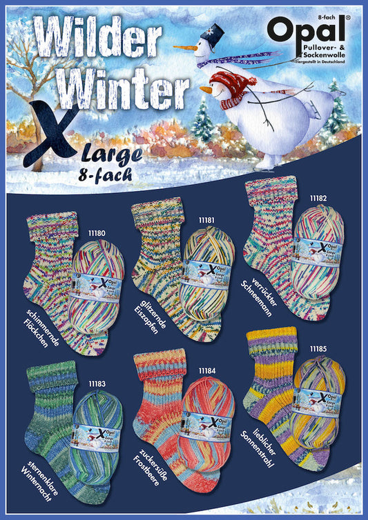 Opal X-Large Wilder Winter 8ply Sock Yarn - valleywools